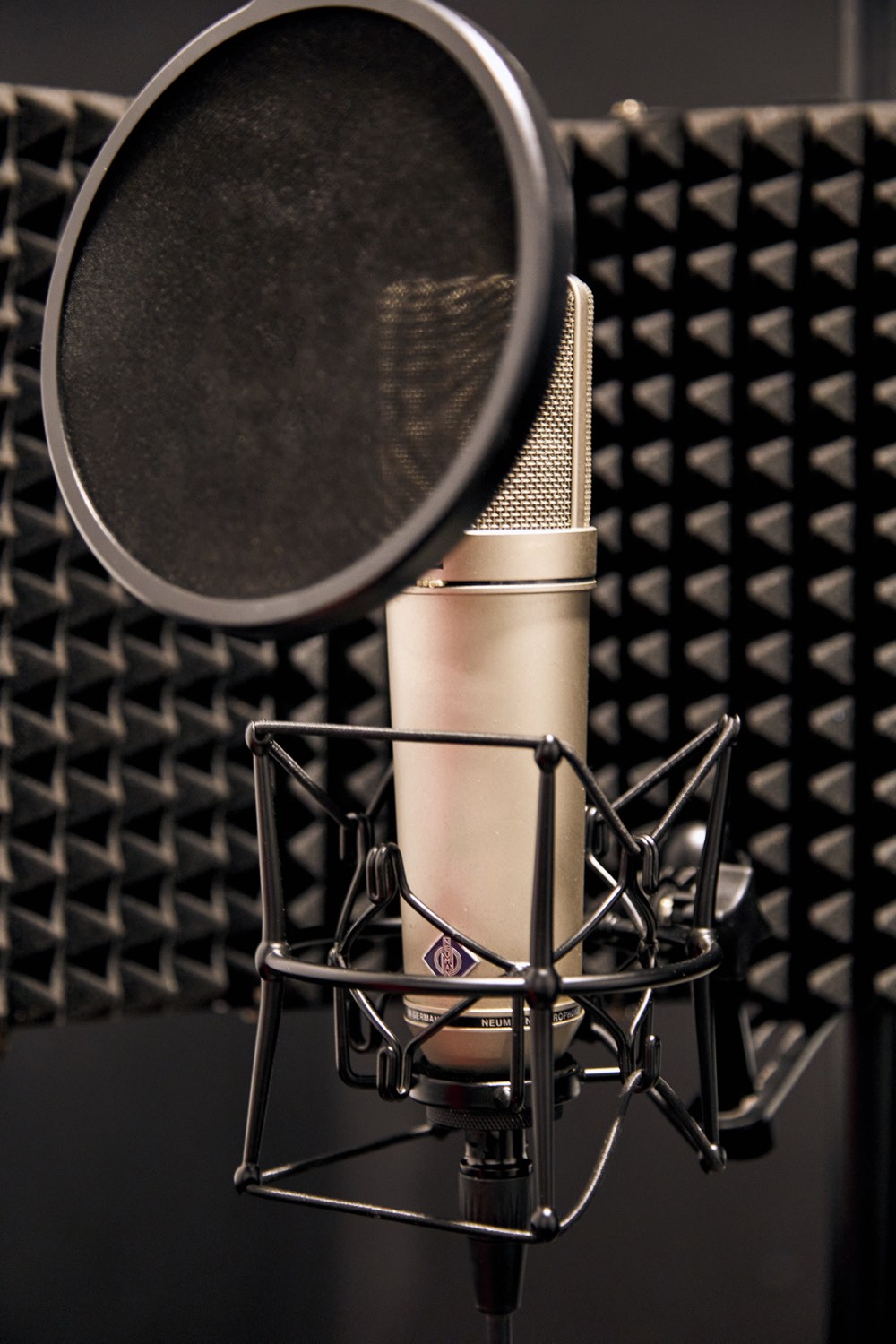 Neumann U87 studio microphone